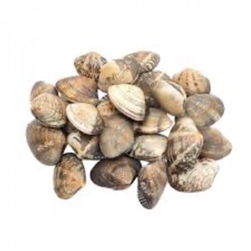 Asari Clams 花啦啦