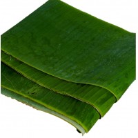 Banana Leaf 香蕉叶