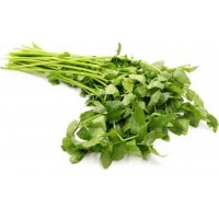 Chinese Celery 芹菜