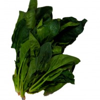 Chinese Spinach 菠菜