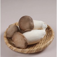 King Oyster Mushroom 杏鲍菇