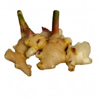 Ginger Young 子姜/生姜