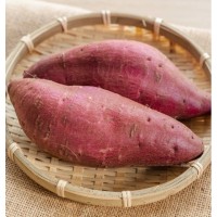 Japanese Sweet Potato 日本番薯皮
