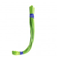 Leek Flower 蒜花