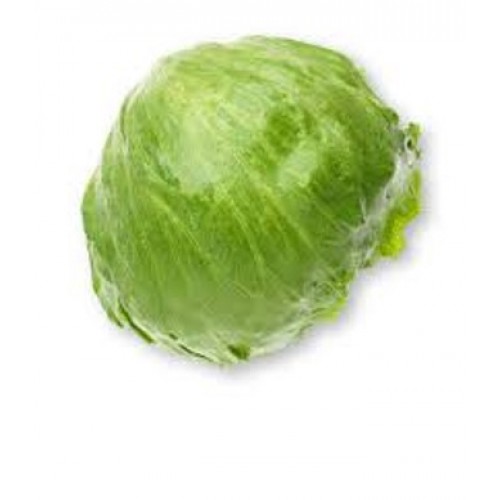Lettuce Iceberg 玻璃生菜
