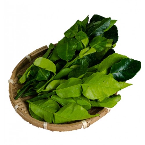 Lime Leaf 柠檬叶