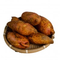 Sweet Potato 番薯