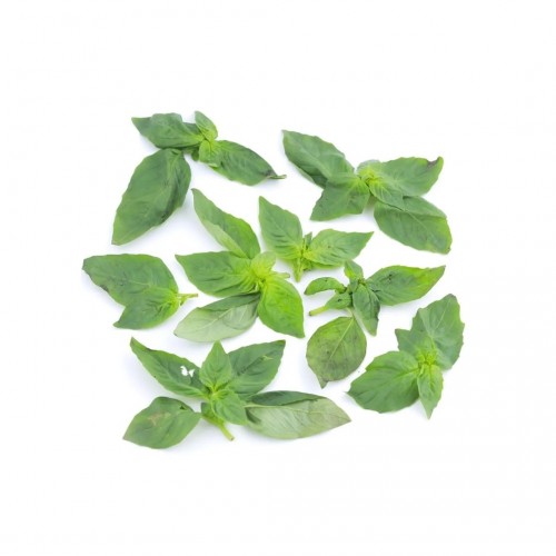 Thai Basil Leaf 九层塔