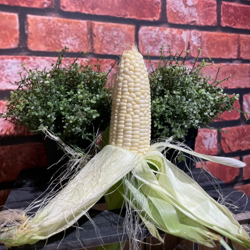 White Sweet Corn  全白玉米
