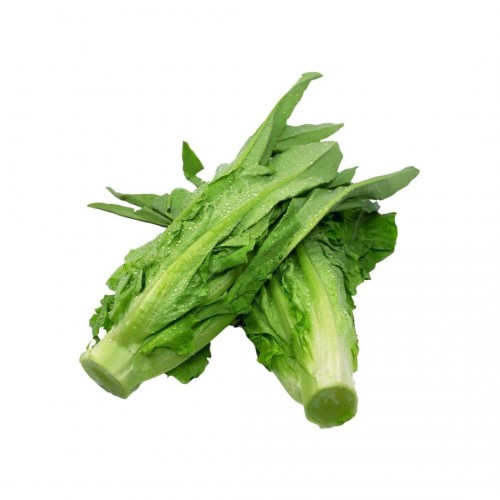 You Mai Cai 油麦菜