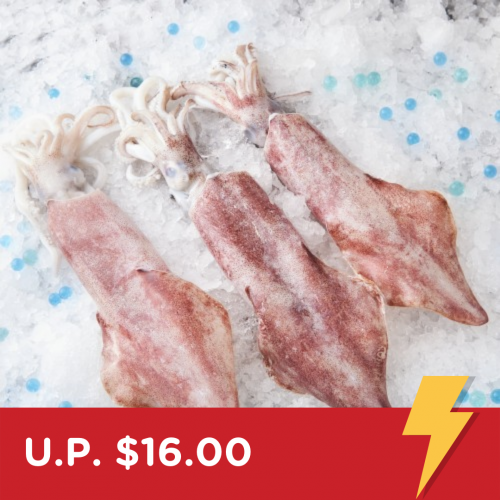 Flash Deal: Fresh A Grade Whole XL Sotong (Squid) 鱿鱼
