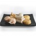 Steamboat Choice 5 in 1