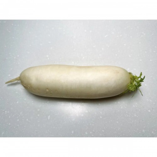 White Radish 白萝卜