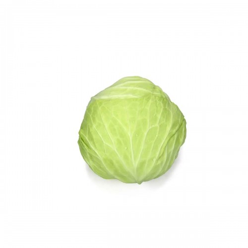 Beijing Cabbage 卷心菜