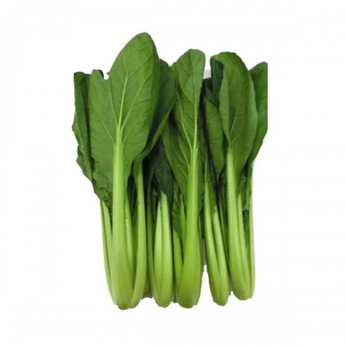 Chye Sim 菜心