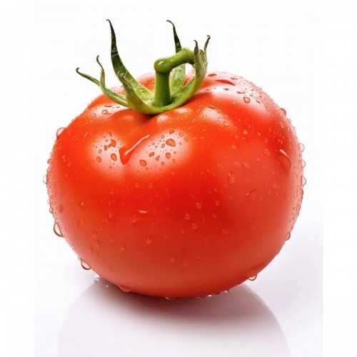 Fresh Tomatoes 番茄