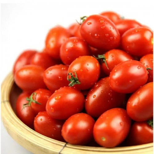 Fresh Cherry Tomato 番茄
