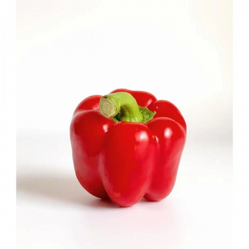 Fresh Red Capsicum