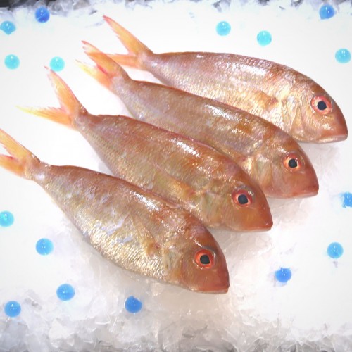 Fresh Baby White Snapper (Ang Go Li Kia)