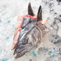 Fresh Batang Head (Spanish Mackeral) 马当鱼头 