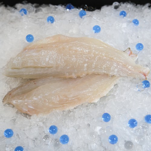 Fresh Black Grouper Fillet 