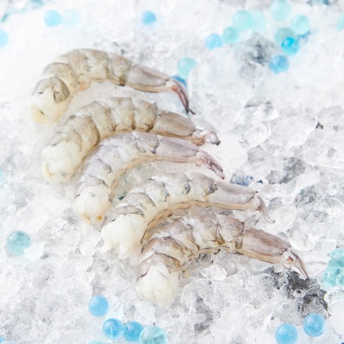 Fresh XL Peeled Glass Prawns 玻璃虾去壳