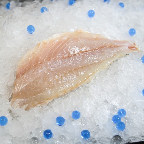 Fresh Golden Snapper Fillet (Ang Zhor)