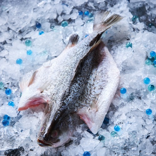 Fresh Seabass Butterfly Cut (Kukup Sea) 金目鲈