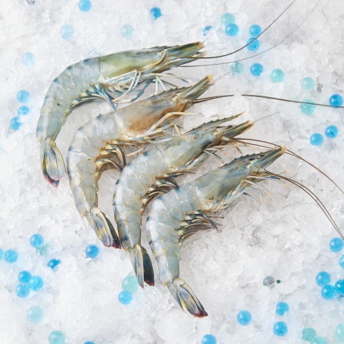 Fresh XL Tiger Prawns 老虎虾