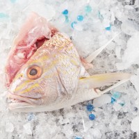 White Snapper Fish Head (Ang Go Li) 红哥里鱼头