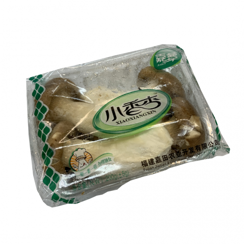 Oyster Mushroom