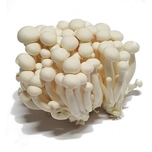 White Shimeiji Mushrooms