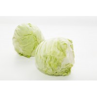 Beijing Cabbage 卷心菜