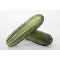 Cucumber 黄瓜