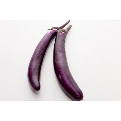 Long Brinjal 茄子