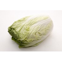 Chinese Wongbok (中国白菜)