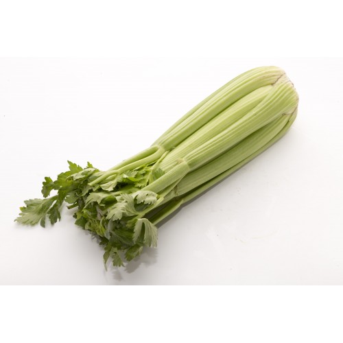 China Celery 芹菜