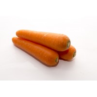 Carrot 胡萝卜