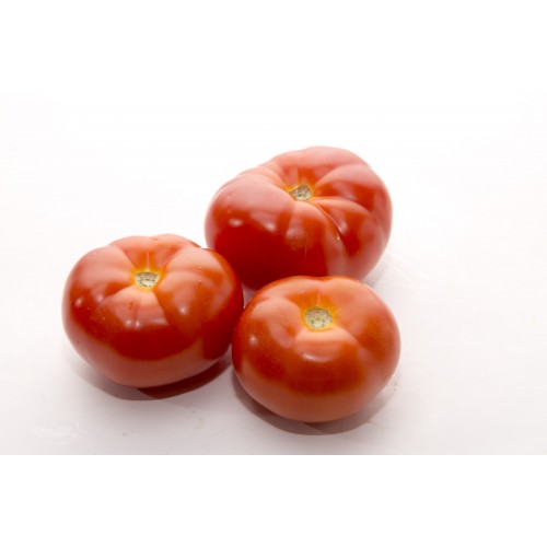 Tomatoes 番茄