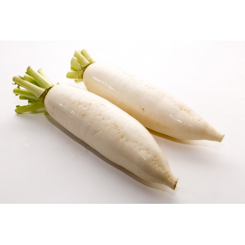 White Radish 白萝卜