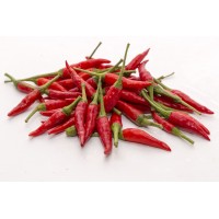 Chilli Padi  小辣椒