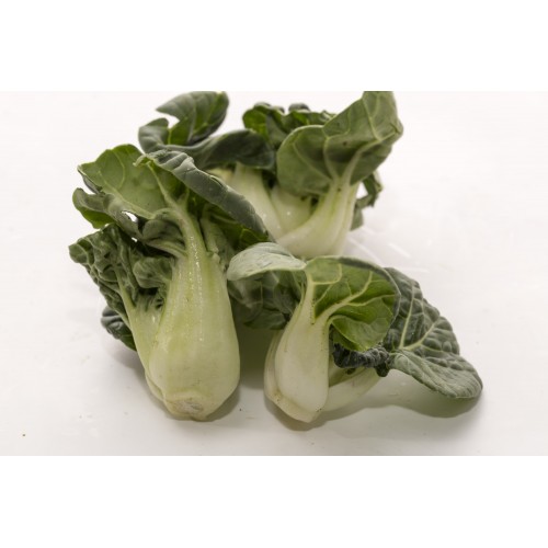 Milk Cabbage / Baby Dou Pak 奶白菜