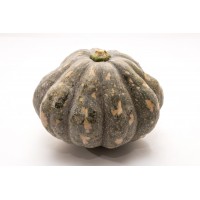 Pumpkin 南瓜