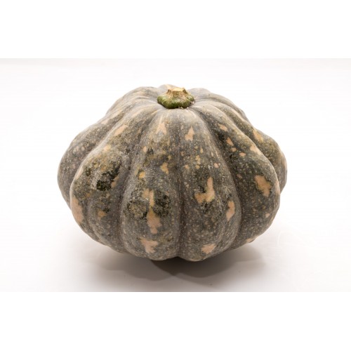 Pumpkin 南瓜