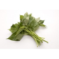 Baby Sweet Potato Leaf  番薯叶