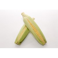 Sweet Corn  甜玉米