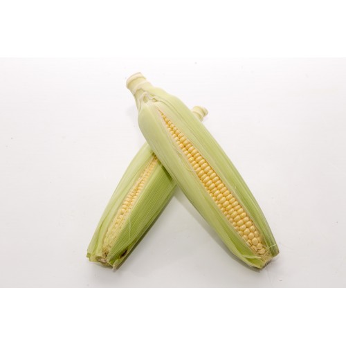 Sweet Corn  甜玉米