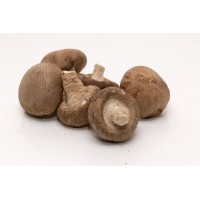 Shiitake Mushrooms 冬菇