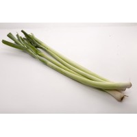 Leeks (韭葱)