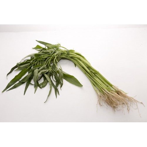 Kang Kong 通菜